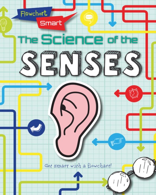 Flowchart Smart The Science Of The Senses